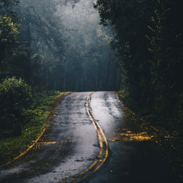 Portfolio Img