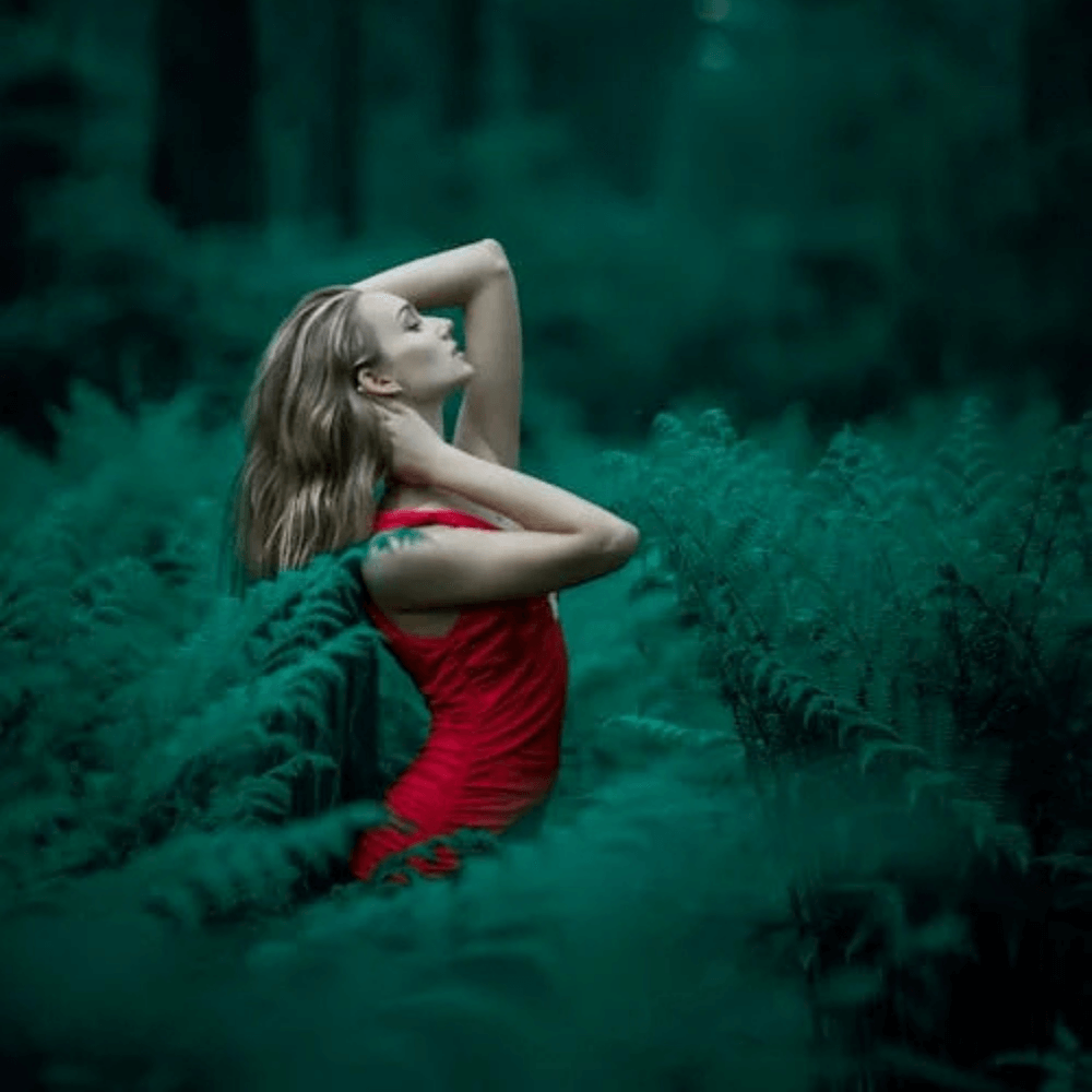 Portfolio Img