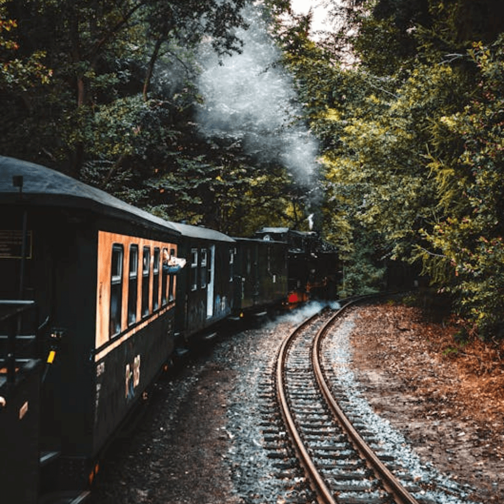 Portfolio Img